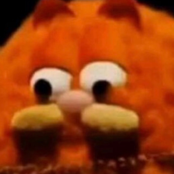 Meet your Posher, Bennett - Picture 1 of 1